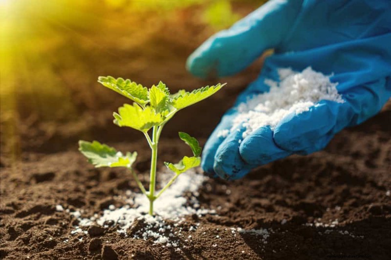 Protect Your Garden: 21 Proven Methods for Spring Pest Control
