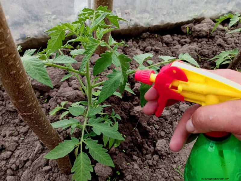 Protect Your Garden: 21 Proven Methods for Spring Pest Control