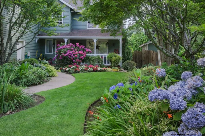 Best Plants for Natural Garden Borders | Landscape Designer Picks