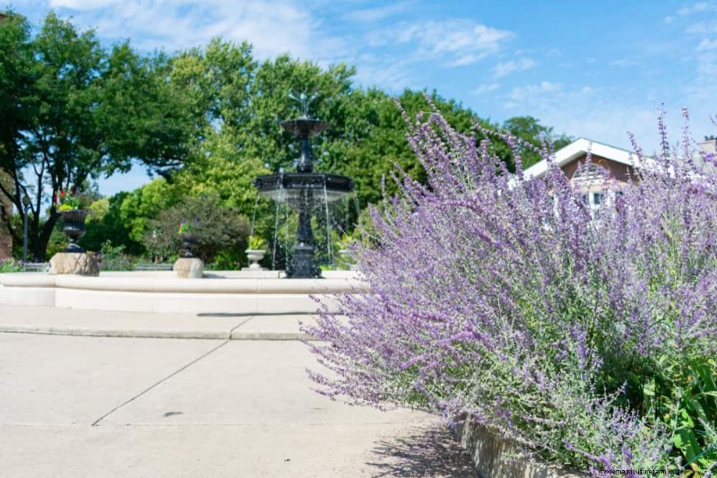 Best Plants for Natural Garden Borders | Landscape Designer Picks