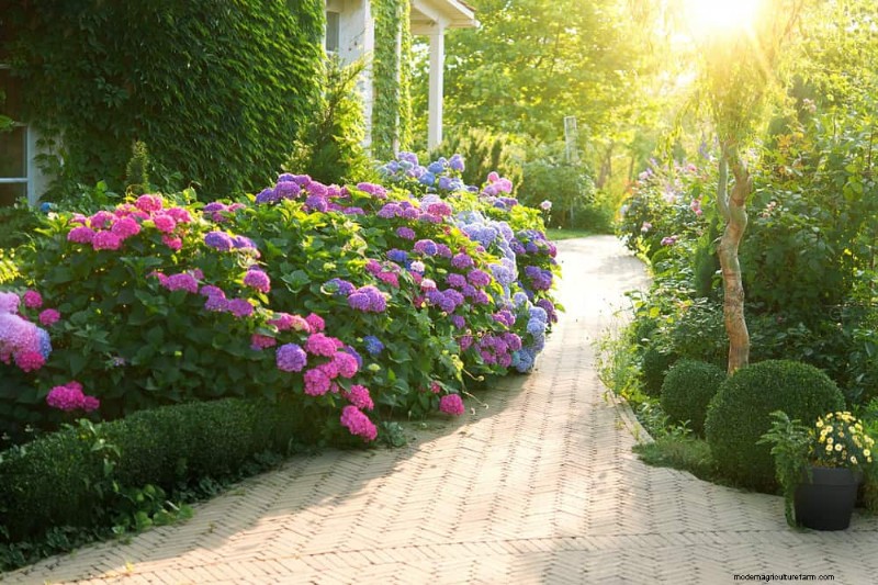 Best Plants for Natural Garden Borders | Landscape Designer Picks