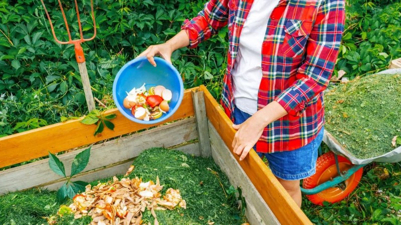 Beginner s Guide: How to Start Composting This Spring for Healthy Soil