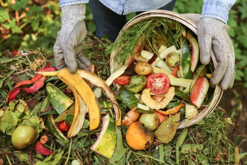 Beginner s Guide: How to Start Composting This Spring for Healthy Soil
