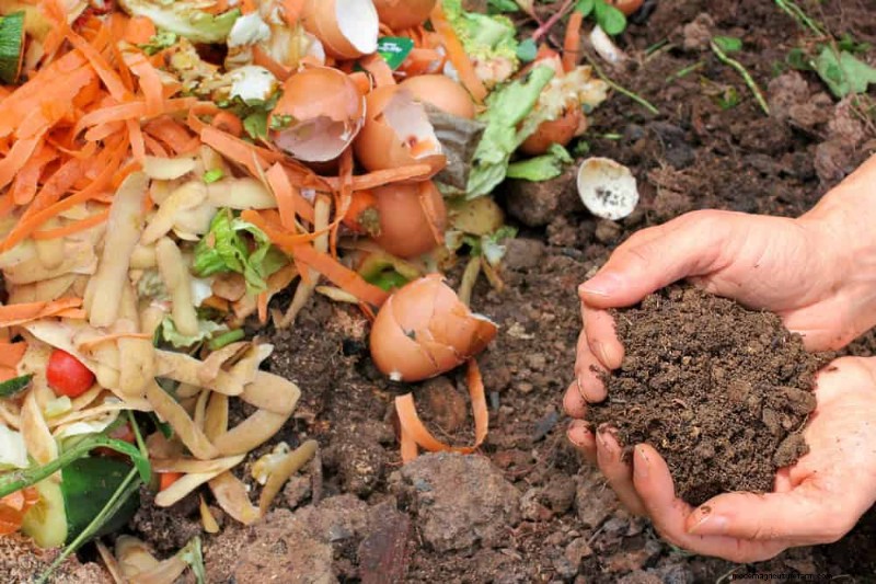 Beginner s Guide: How to Start Composting This Spring for Healthy Soil