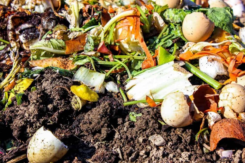 Beginner s Guide: How to Start Composting This Spring for Healthy Soil