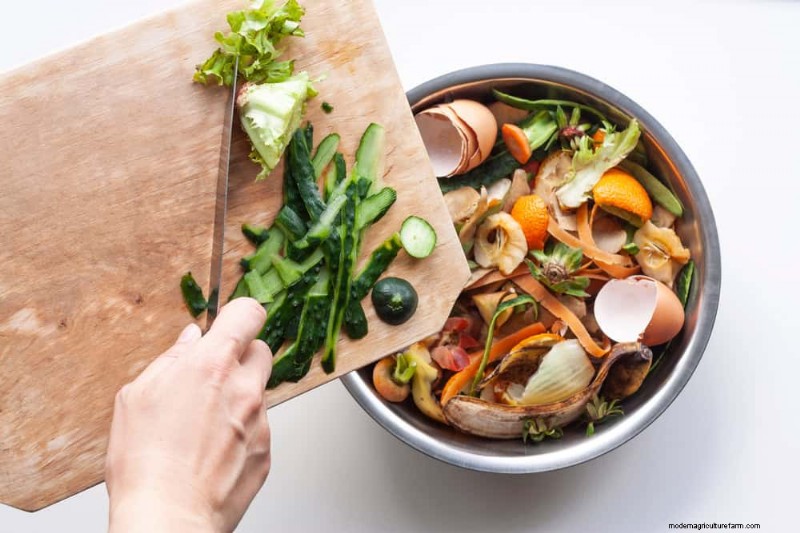 Beginner s Guide: How to Start Composting This Spring for Healthy Soil