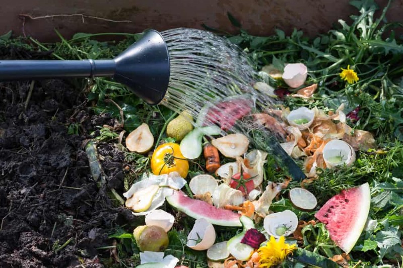 Beginner s Guide: How to Start Composting This Spring for Healthy Soil