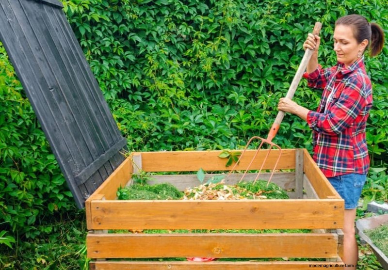 Beginner s Guide: How to Start Composting This Spring for Healthy Soil