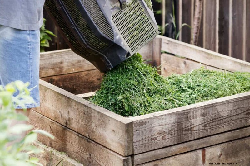 Beginner s Guide: How to Start Composting This Spring for Healthy Soil