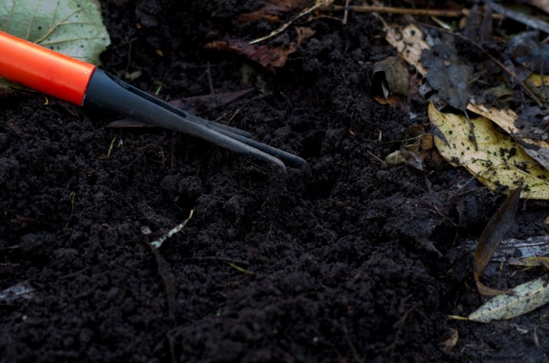 Beginner s Guide: How to Start Composting This Spring for Healthy Soil