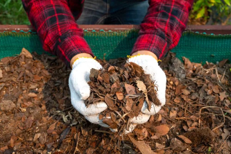 Beginner s Guide: How to Start Composting This Spring for Healthy Soil