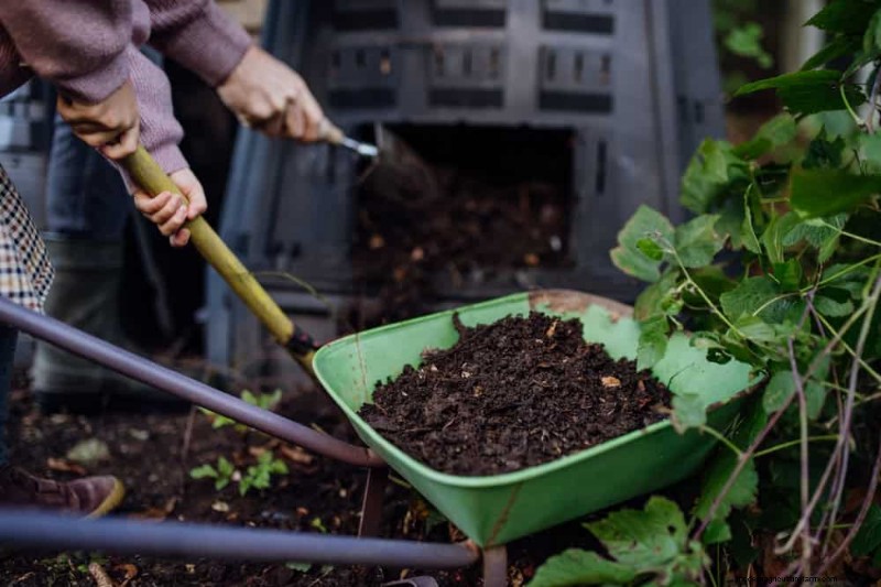 Beginner s Guide: How to Start Composting This Spring for Healthy Soil