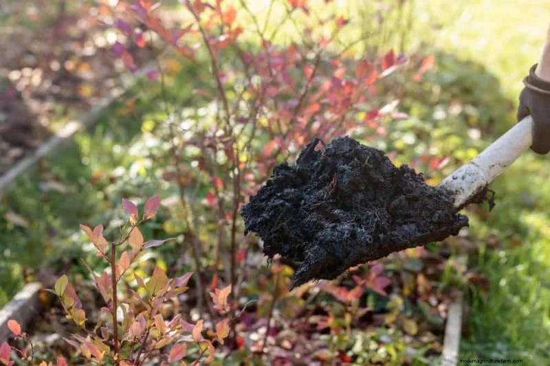 Beginner s Guide: How to Start Composting This Spring for Healthy Soil