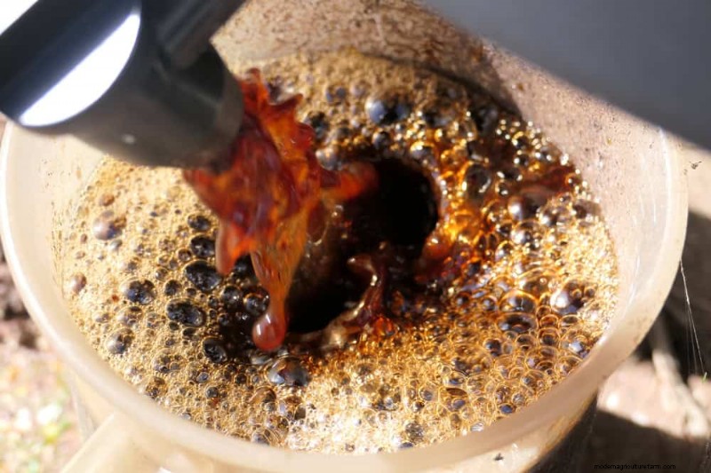 Beginner s Guide: How to Start Composting This Spring for Healthy Soil