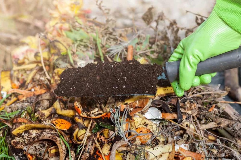 Beginner s Guide: How to Start Composting This Spring for Healthy Soil
