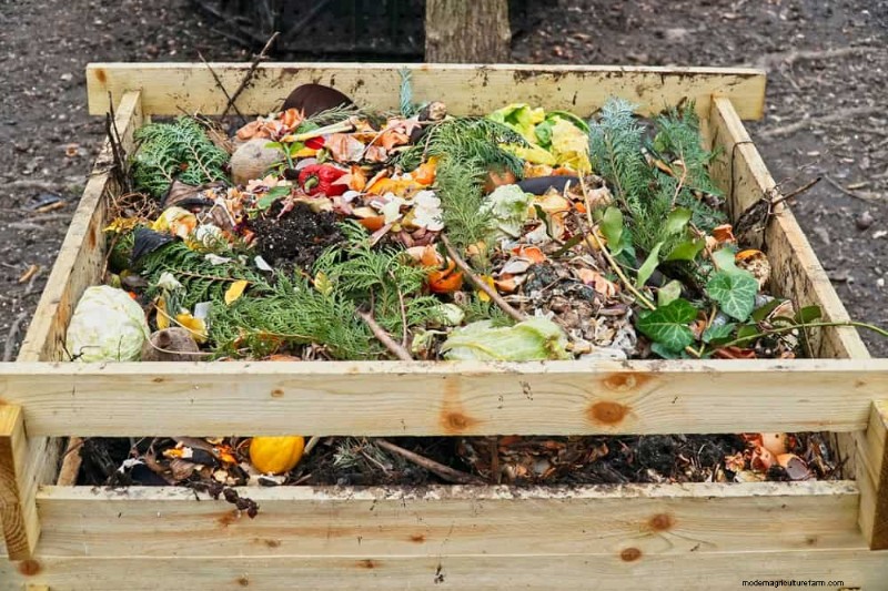 Beginner s Guide: How to Start Composting This Spring for Healthy Soil