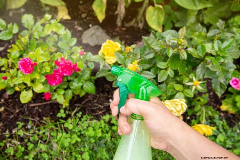 Attract Pollinators: Your Guide to a Spring Pollinator Garden