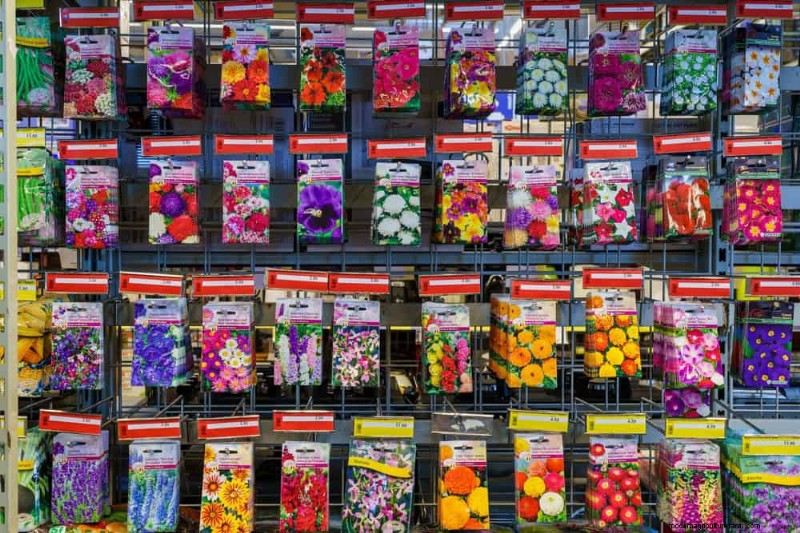 Attract Pollinators: Your Guide to a Spring Pollinator Garden