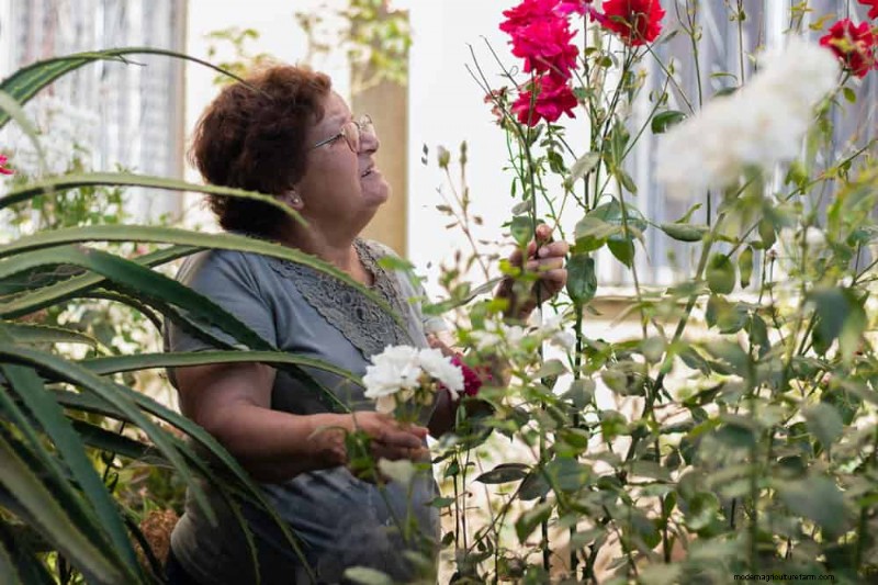 Attract Pollinators: Your Guide to a Spring Pollinator Garden