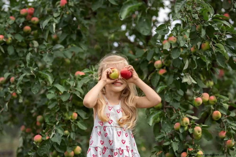 Top 10 Fruit Trees for Spring Planting: Ensure a Sweet Harvest