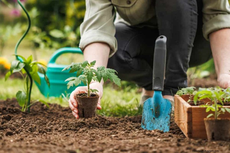 Spring Gardening Mistakes: Avoid Common Pitfalls for a Lush Yard