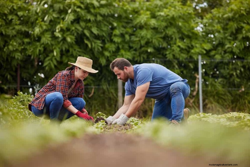 Spring Gardening Mistakes: Avoid Common Pitfalls for a Lush Yard