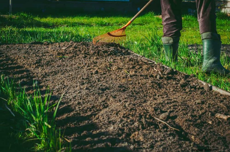 Spring Gardening Mistakes: Avoid Common Pitfalls for a Lush Yard