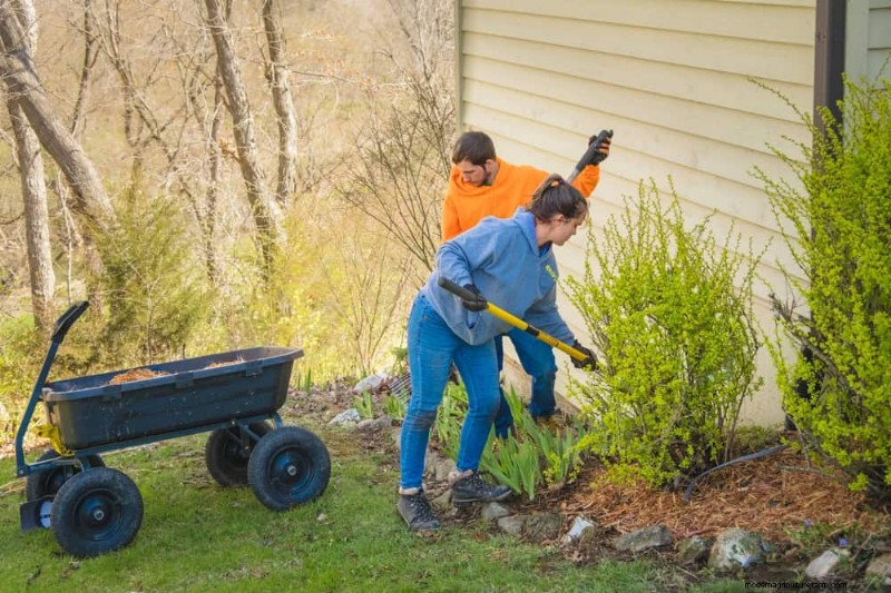 Spring Gardening Mistakes: Avoid Common Pitfalls for a Lush Yard