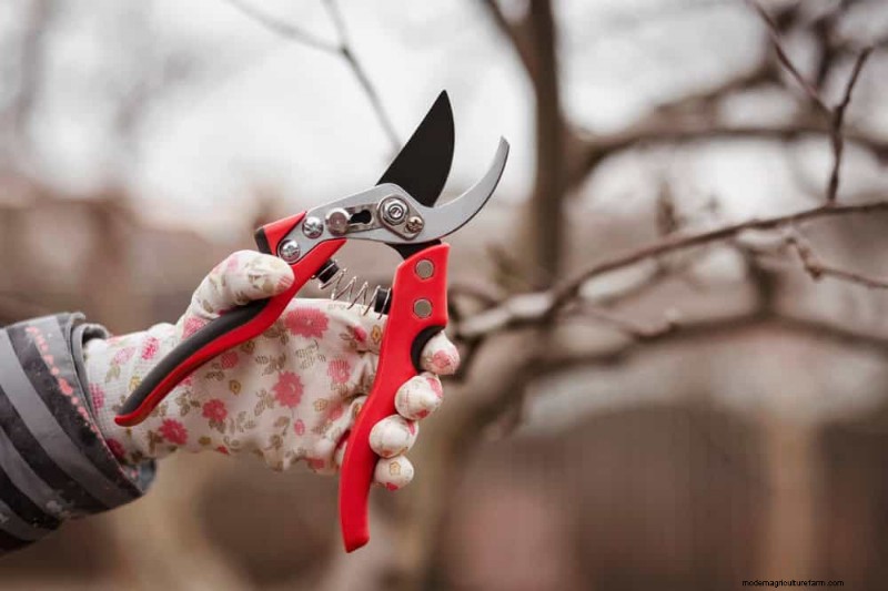 Spring Gardening Mistakes: Avoid Common Pitfalls for a Lush Yard