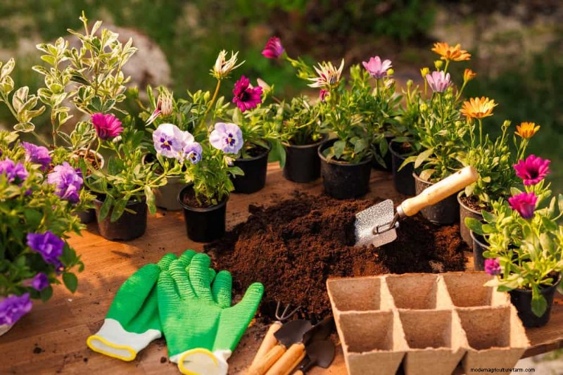 Spring Gardening Mistakes: Avoid Common Pitfalls for a Lush Yard