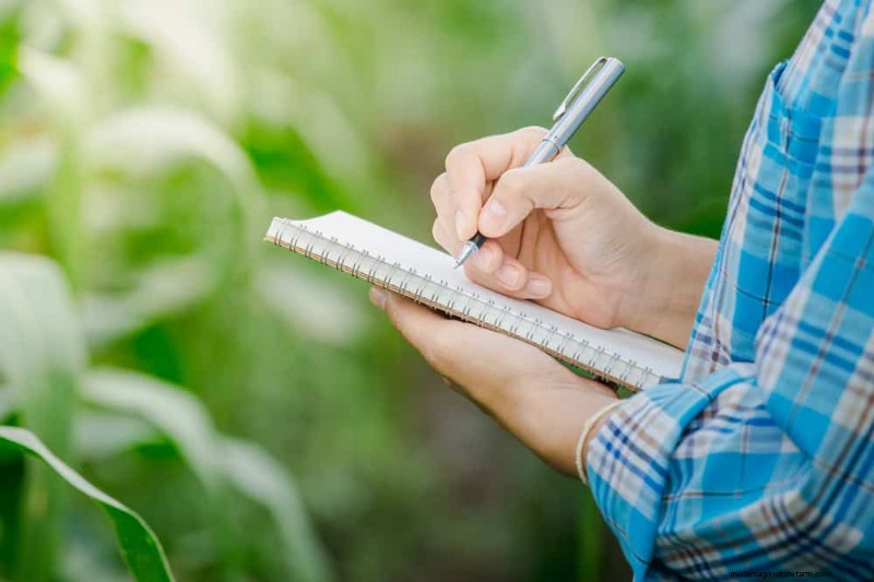 Spring Gardening Mistakes: Avoid Common Pitfalls for a Lush Yard