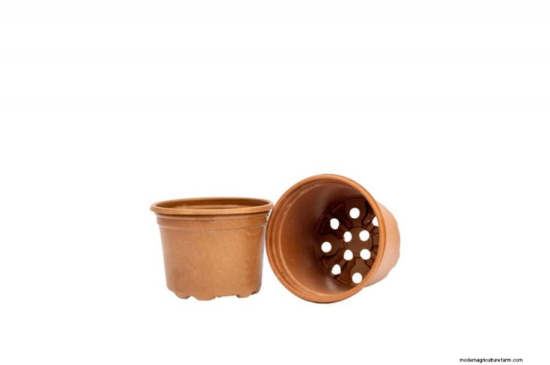 Windowsill Herb Garden: A Step-by-Step Guide to Growing Fresh Herbs