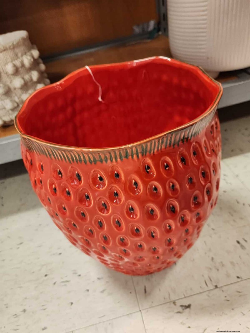 Best Spring 2025 Planters at TJ Maxx: 21 Affordable Finds