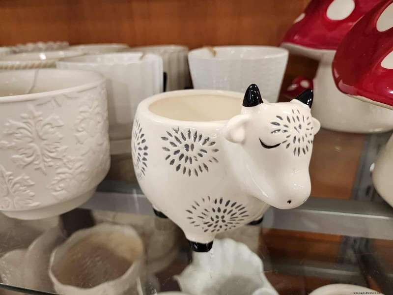 Best Spring 2025 Planters at TJ Maxx: 21 Affordable Finds