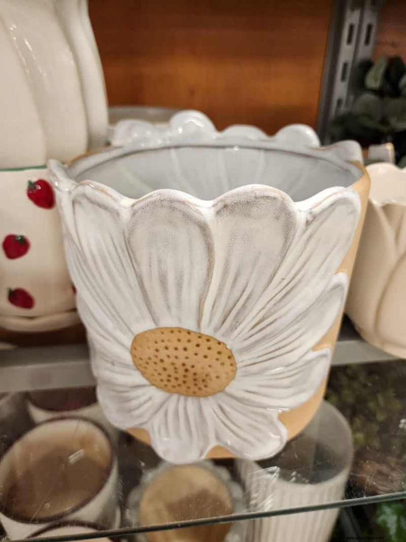 Best Spring 2025 Planters at TJ Maxx: 21 Affordable Finds