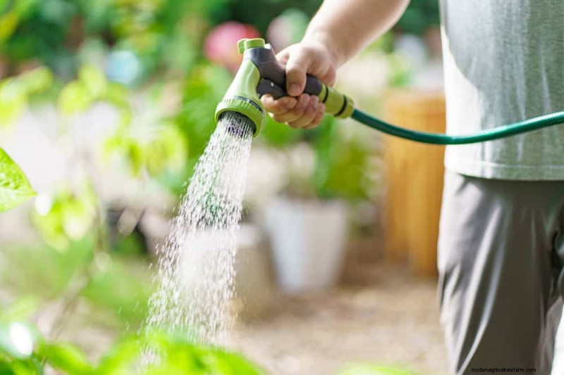Protect Your Garden: 12 Tips for Late Spring Frost Protection