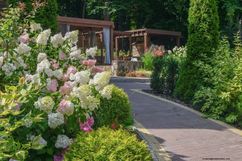 Create a Butterfly Garden: 11 Easy Steps for Spring