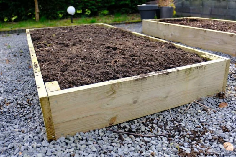 Grow Your Own Salad Garden: A Step-by-Step Spring Guide