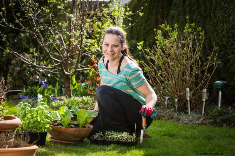 Grow Your Own Salad Garden: A Step-by-Step Spring Guide