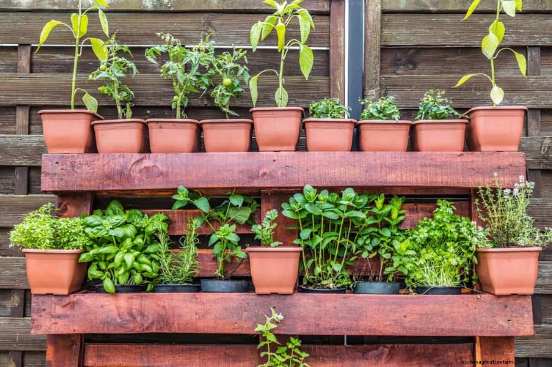 12 Simple DIY Garden Projects for a Spring Yard Refresh