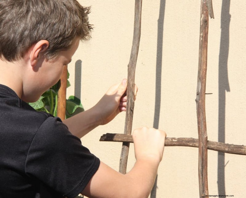 12 Simple DIY Garden Projects for a Spring Yard Refresh