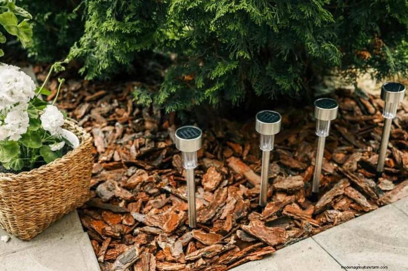 12 Simple DIY Garden Projects for a Spring Yard Refresh
