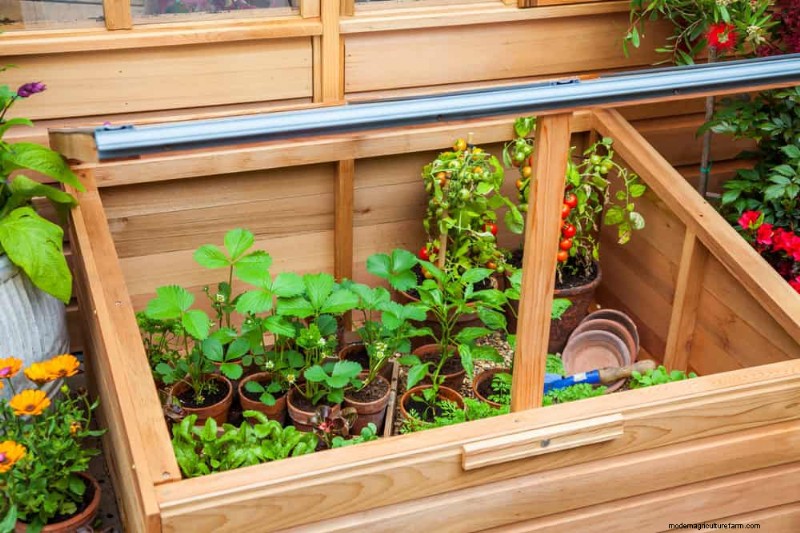 12 Simple DIY Garden Projects for a Spring Yard Refresh