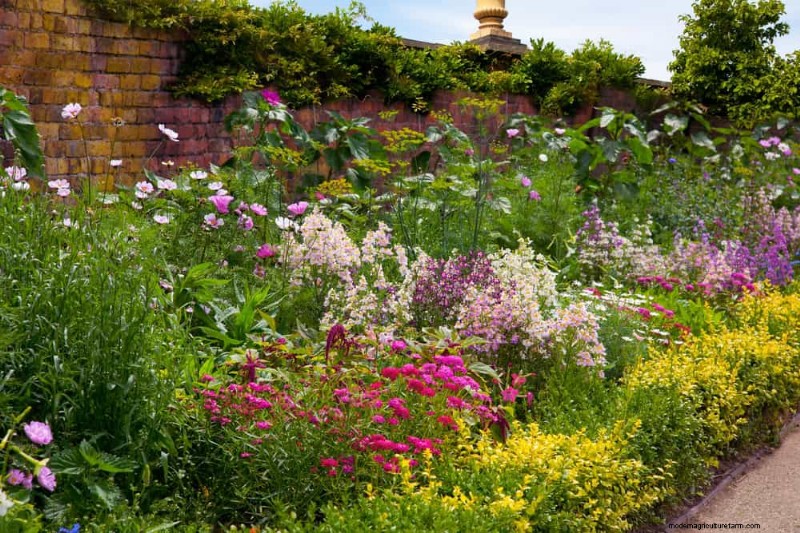 Sustainable & Wildlife-Friendly Perennials: 15 Choices for a Thriving Garden