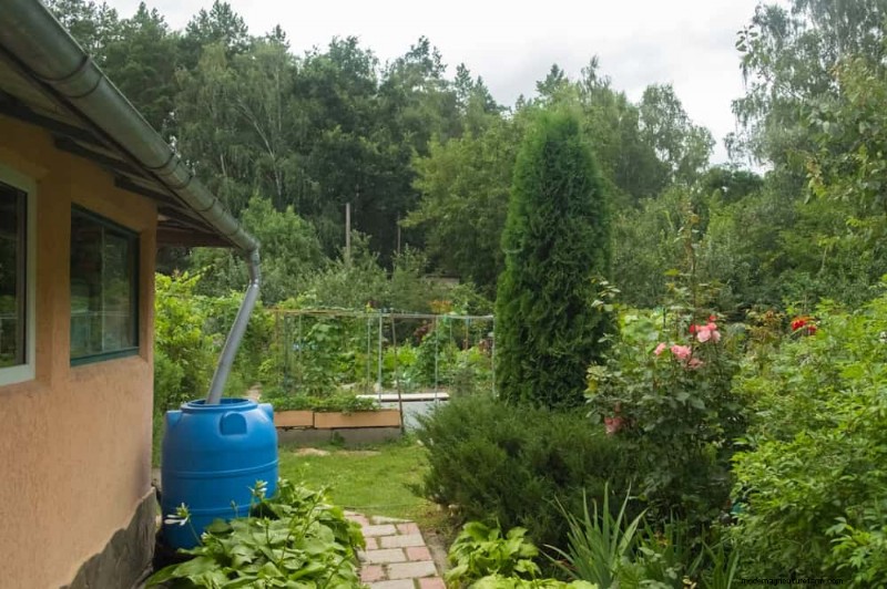 Rainwater Harvesting for Gardens: A Complete Guide
