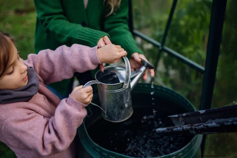 Rainwater Harvesting for Gardens: A Complete Guide