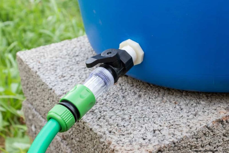 Rainwater Harvesting for Gardens: A Complete Guide