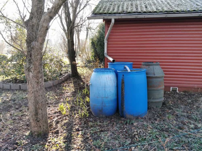 Rainwater Harvesting for Gardens: A Complete Guide