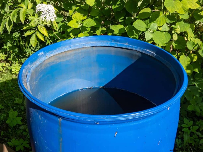 Rainwater Harvesting for Gardens: A Complete Guide