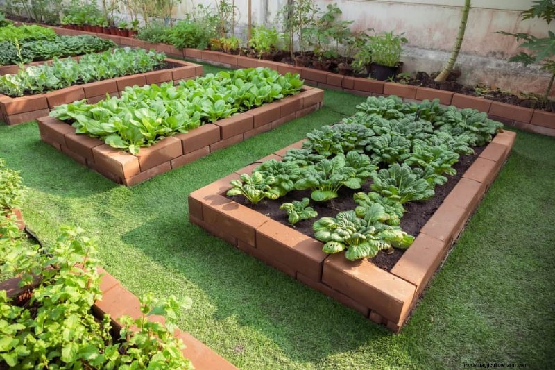 Rainwater Harvesting for Gardens: A Complete Guide